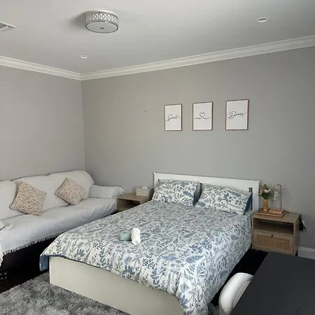 Modern Room With Cozy Vibes